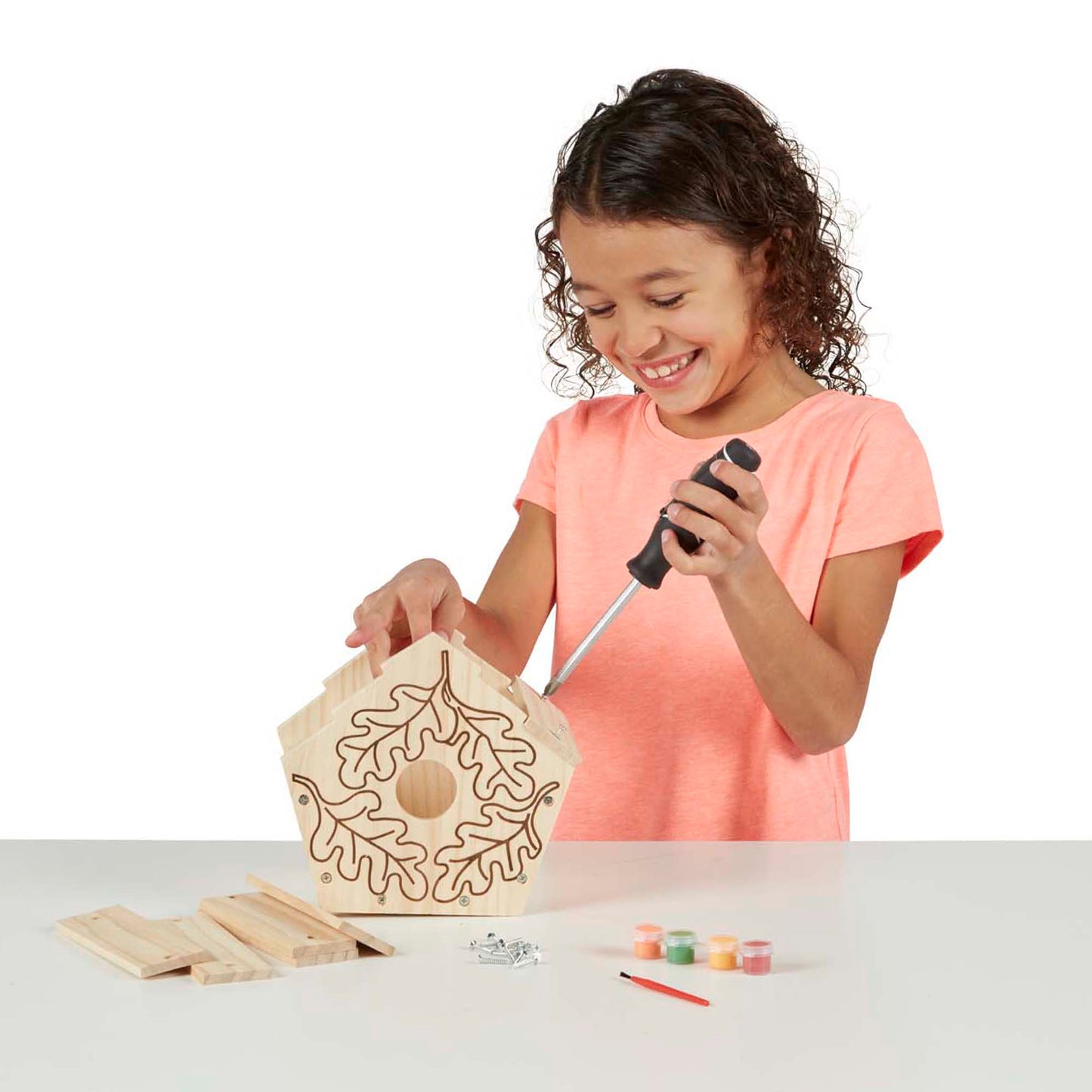 Melissa & Doug Build Your Own Birdhouse