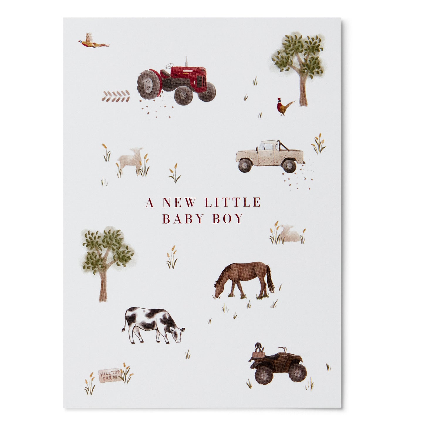 Baby Boy Greeting Card