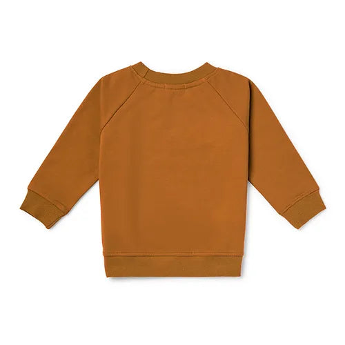 Organic Cotton Children's Sweatshirt