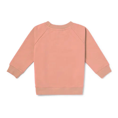 Organic Cotton Children's Sweatshirt