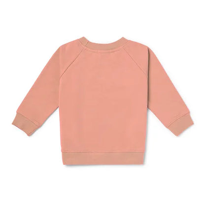 Organic Cotton Children's Sweatshirt