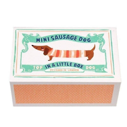 Mini Sausage Dog In A Little Box