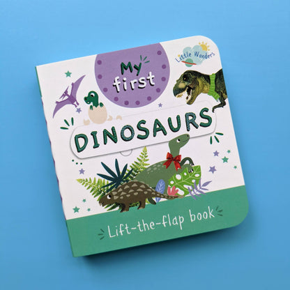 Little Wonders My First Mini Lift The Flap Book