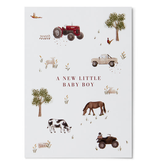 Baby Boy Greeting Card