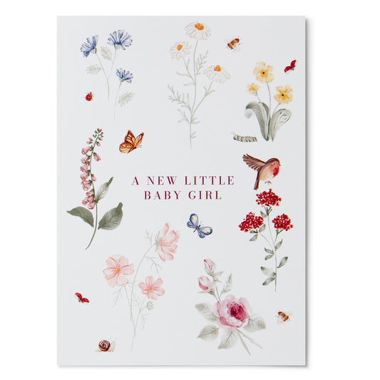 Baby Girl Greeting Card