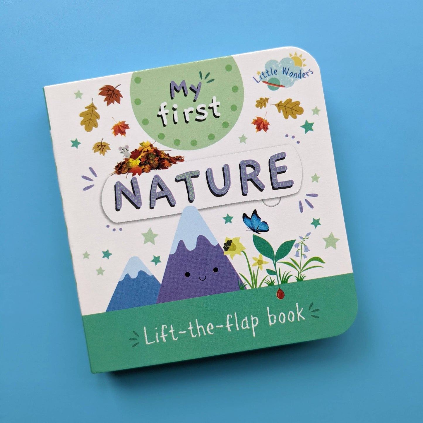 Little Wonders My First Mini Lift The Flap Book