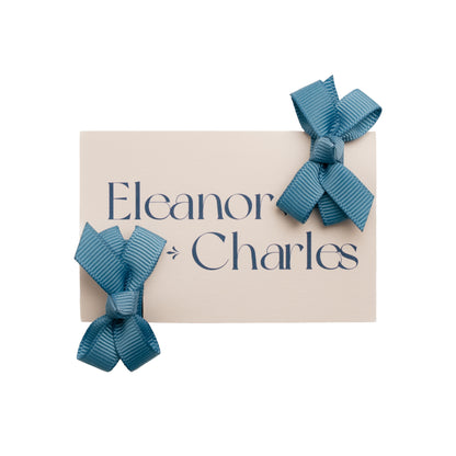 Set of Two Ribbon Bow Hair Clips