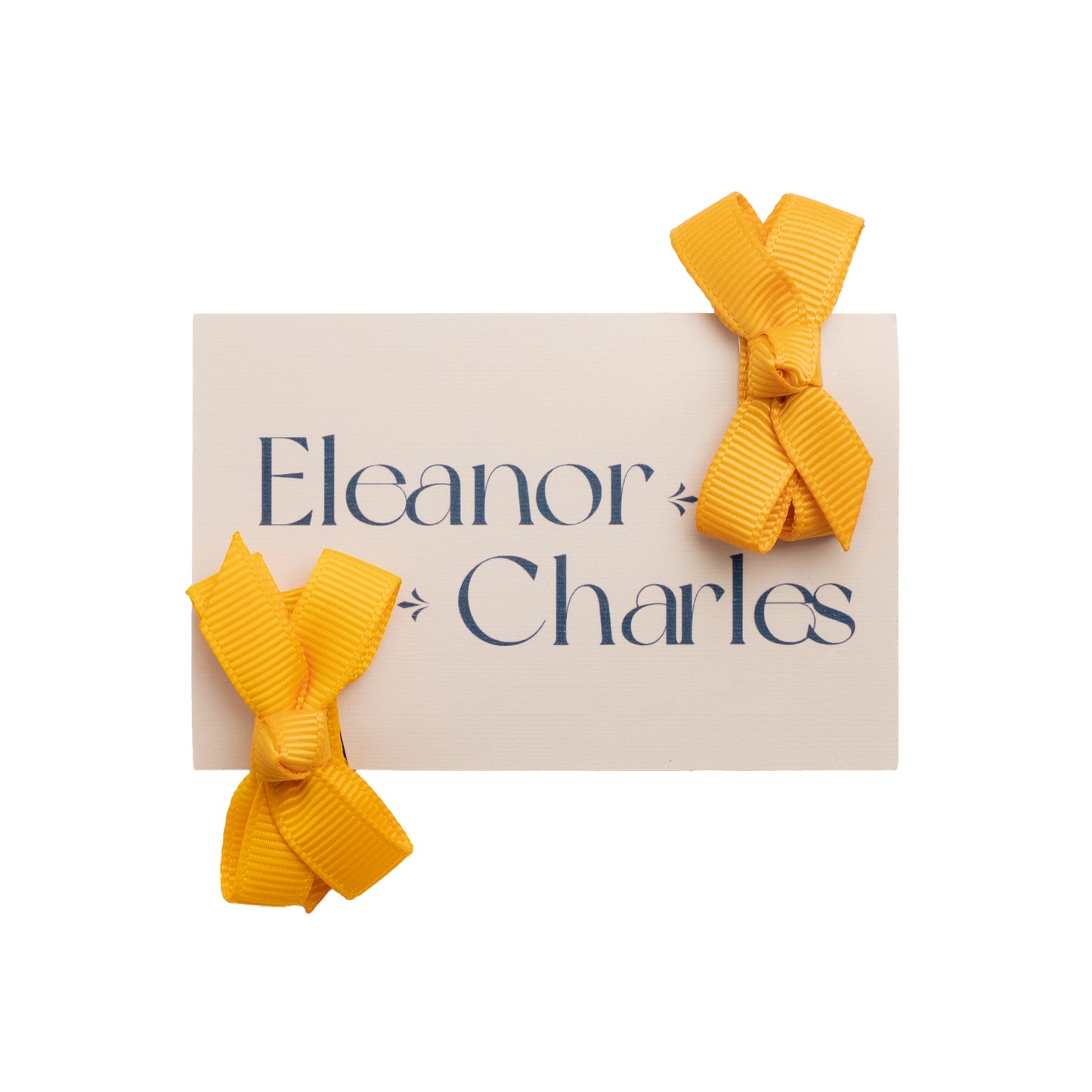 Set of Two Ribbon Bow Hair Clips