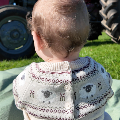 Organic Cotton Sheep Jumper