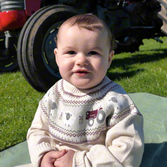 Organic Cotton Sheep Jumper